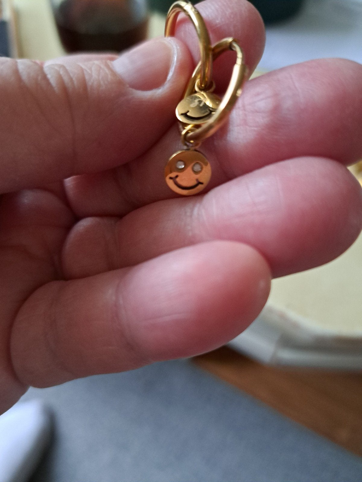 Hoops oorbellen stainles steel, Ophalen of Verzenden, Nieuw, Overige materialen