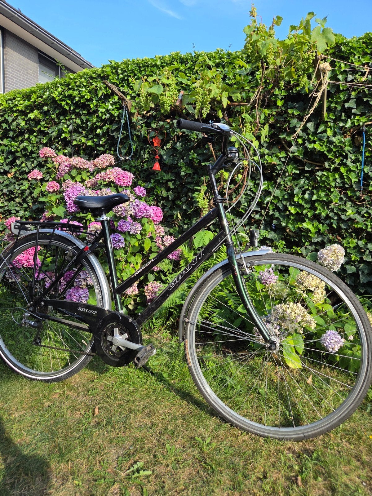 Giant Damesfiets, Ophalen, 53 tot 56 cm, Giant, Zo goed als nieuw