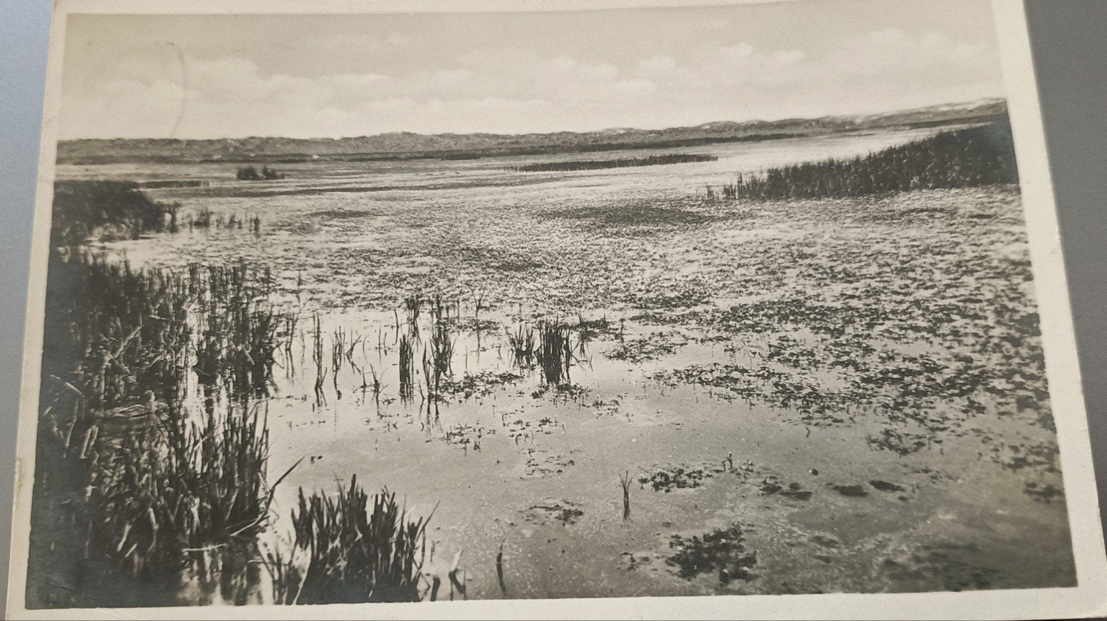 Texel. De Geul., Verzenden, 1940 tot 1960, Gelopen, Waddeneilanden