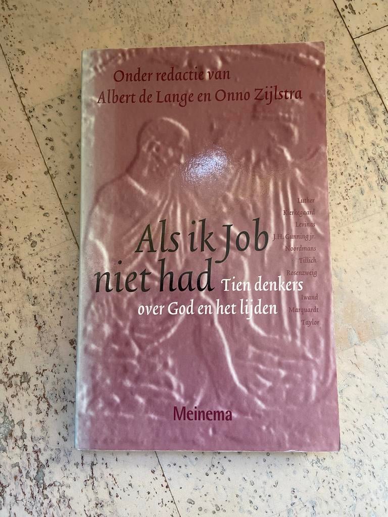 Als ik Job niet had: Tien denkers over God en het lijden, Ophalen of Verzenden, Gelezen, Christendom | Protestants