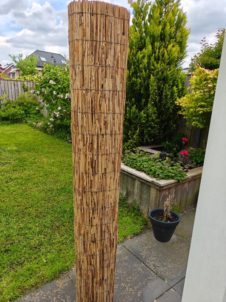 Rieten scherm 180x180, Tuin en Terras, Tuinschermen, Ophalen, Overige materialen, 150 tot 200 cm, Zo goed als nieuw