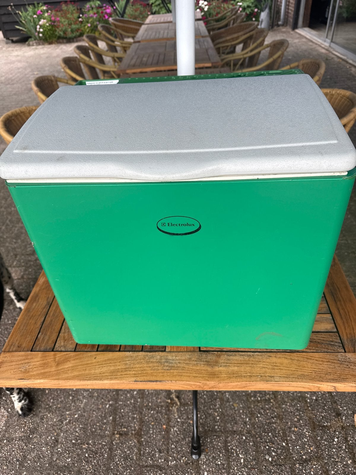 Electrolux Camping / Auto Koelbox - 230V, 24V, Gas, Ophalen of Verzenden, Gebruikt, Koelbox, Elektrisch