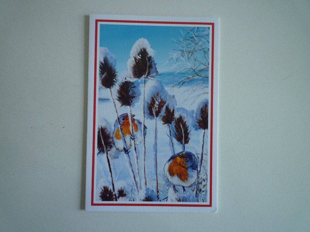 Roodborstje vogels kaardebol, Ophalen of Verzenden, Voor 1920, Vogel