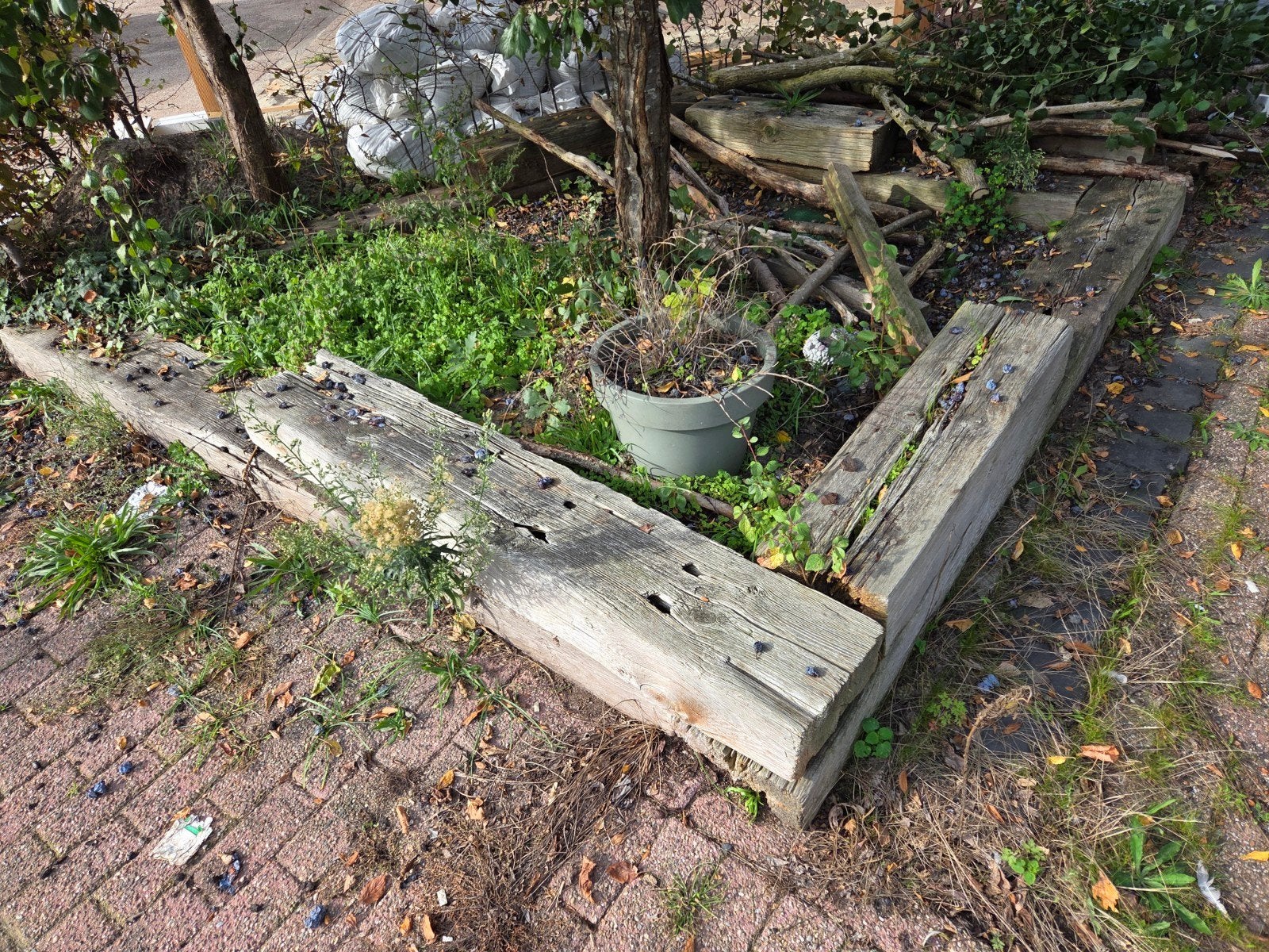 houten bielzen, Ophalen, Gebruikt, 100 tot 200 cm, Biels