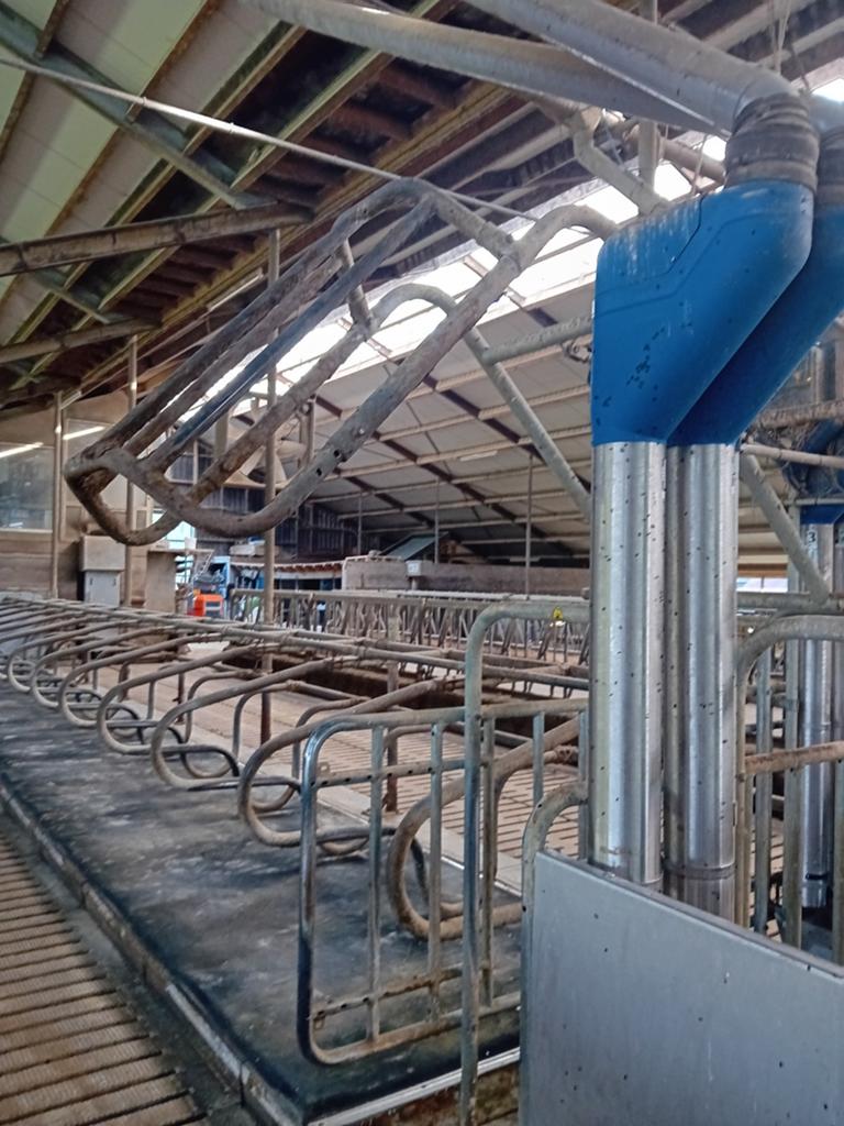 Krachtvoerboxen 6 stuks met pipefeeder van hanskamp en sluit