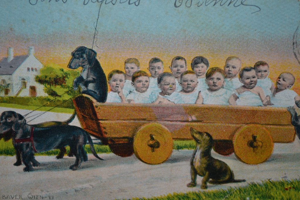 frankrijk 1904 babys in kar met honden teckel, Ophalen of Verzenden, 1960 tot 1980, Gelopen, Overige thema's