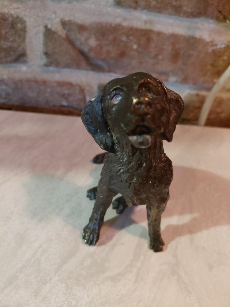 Vintage bronzen hondenbeeldje - Labrador Retriever, Ophalen of Verzenden