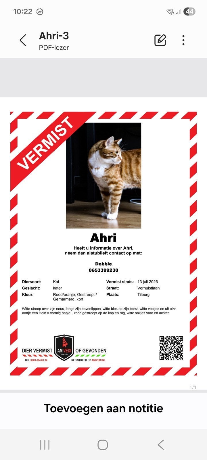 Vermist rood witte kater tilburg, Dieren en Toebehoren, Kat