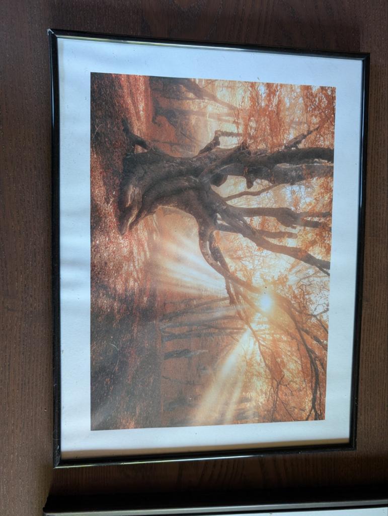 Set van 4 ingelijste prints (30x40 cm), Ophalen, Minder dan 50 cm, Gebruikt, Print