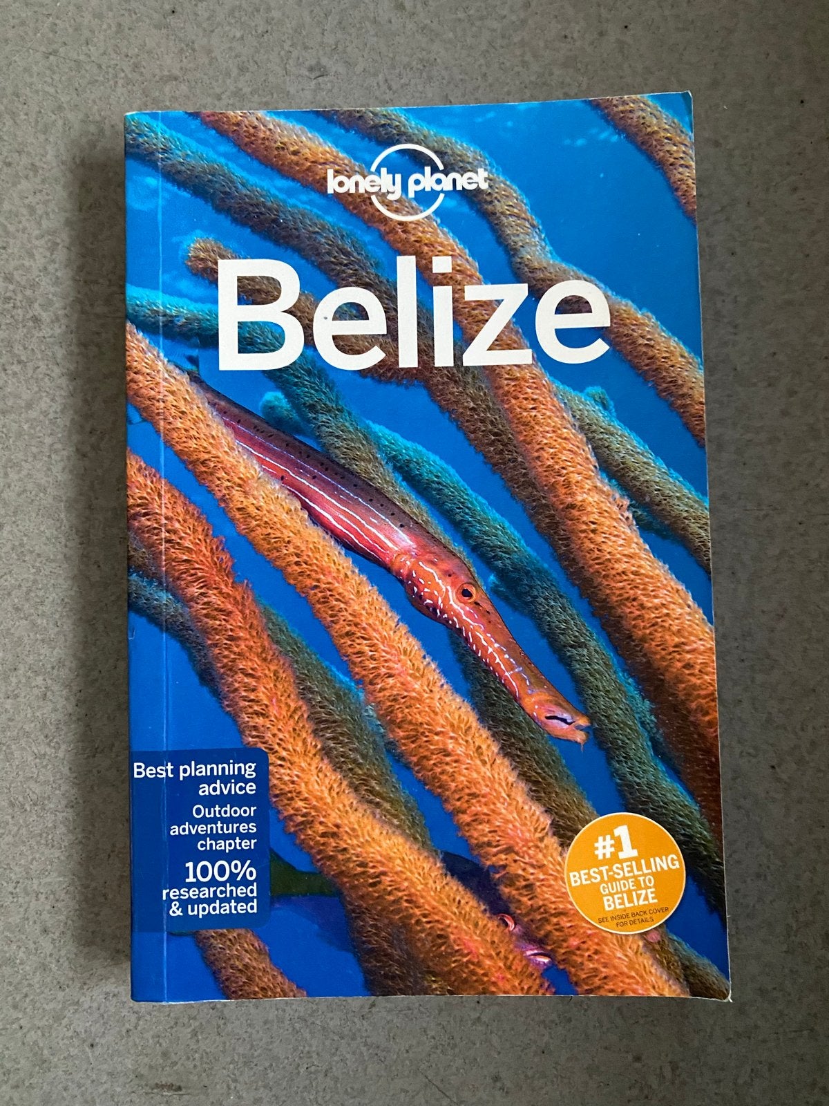Lonely Planet Belize Reisgids - Goede staat, Gelezen, Lonely Planet, Reisgids of -boek, Midden-Amerika