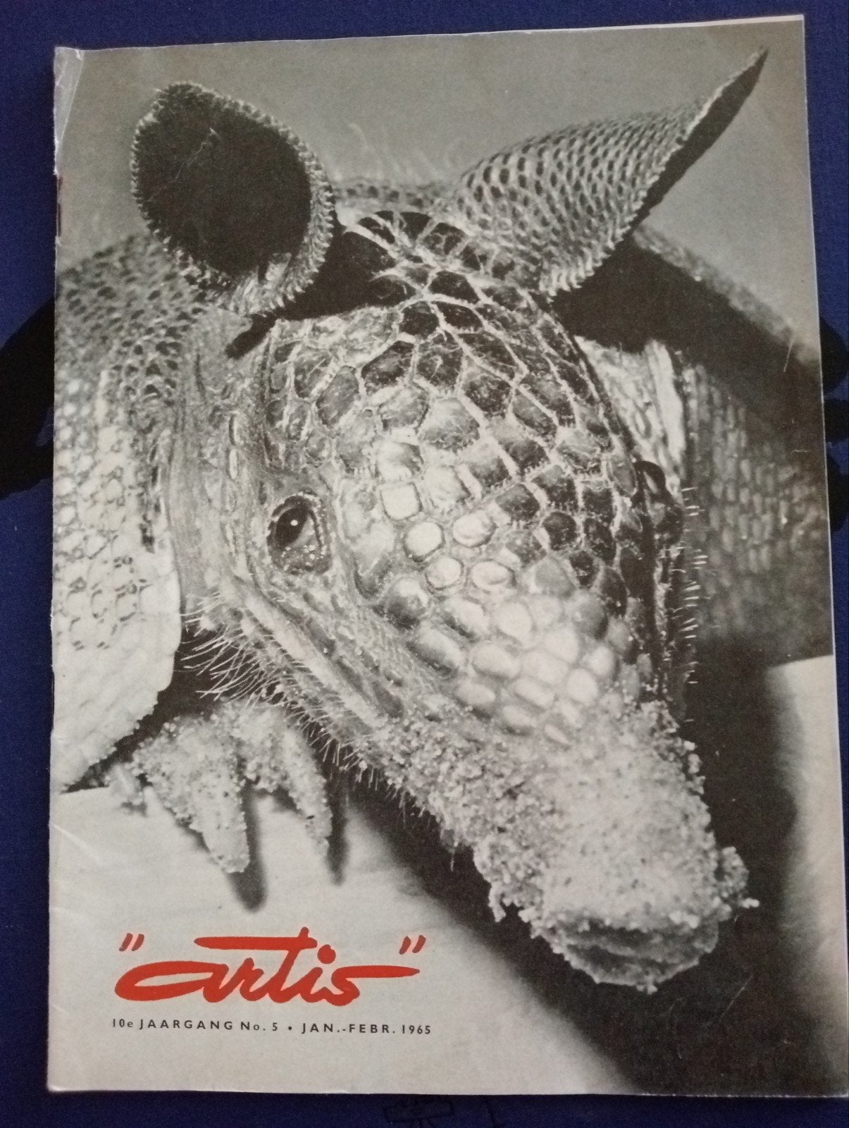 Artis Magazine 1965 - 10e Jaargang No. 5, Ophalen of Verzenden, Gelezen, Wetenschap en Natuur