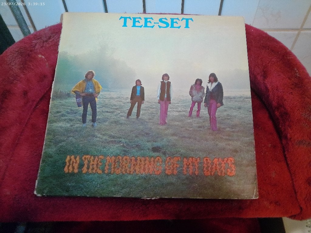 LP Tee Set - in the morning of my days, LP, Gebruikt, Ophalen of Verzenden, 12 inch