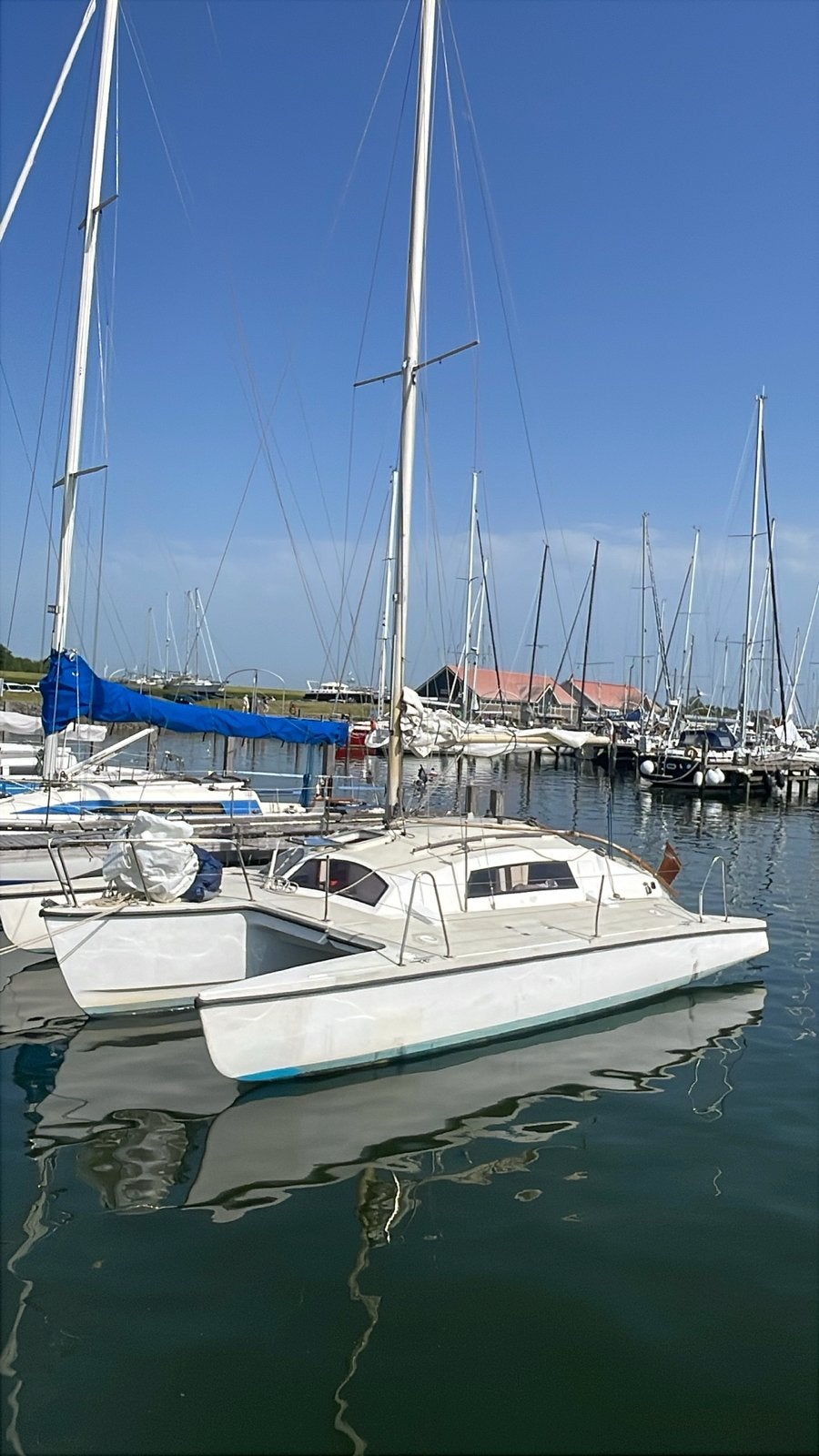Telstar 26 mark 2 trimaran, Watersport en Boten, Catamarans, Ophalen, Gebruikt