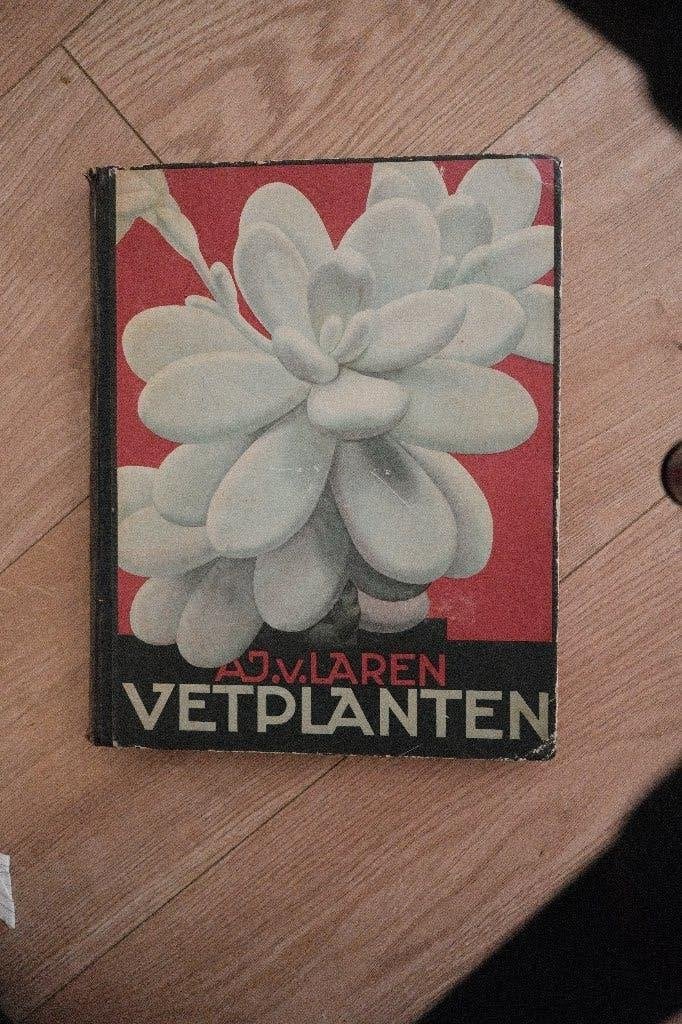 Verkade-album: Vetplanten - A.J. v. Laren, Ophalen of Verzenden, Gelezen