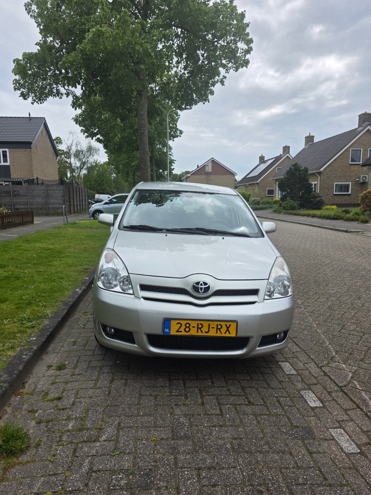 Damwâld, Ophalen of Verzenden, Toyota