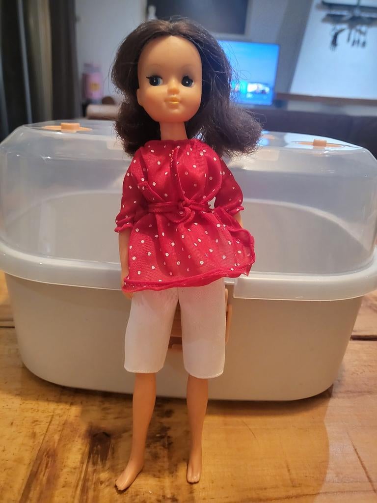 Vintage fleur pop, Ophalen of Verzenden, Gebruikt, Overige typen