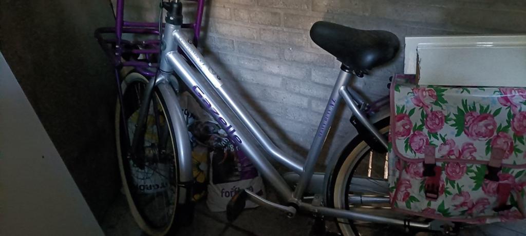 Gazelle damesfiets met voordrager en fietstassen, Velgrem, Versnellingen, Ophalen of Verzenden, Gazelle
