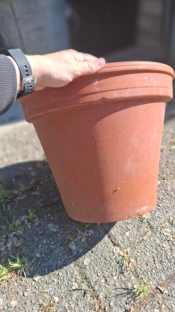 Grote terracotta bloempot, gebruikt, Tuin en Terras, Gebruikt, Rond, Minder dan 40 cm, Terracotta