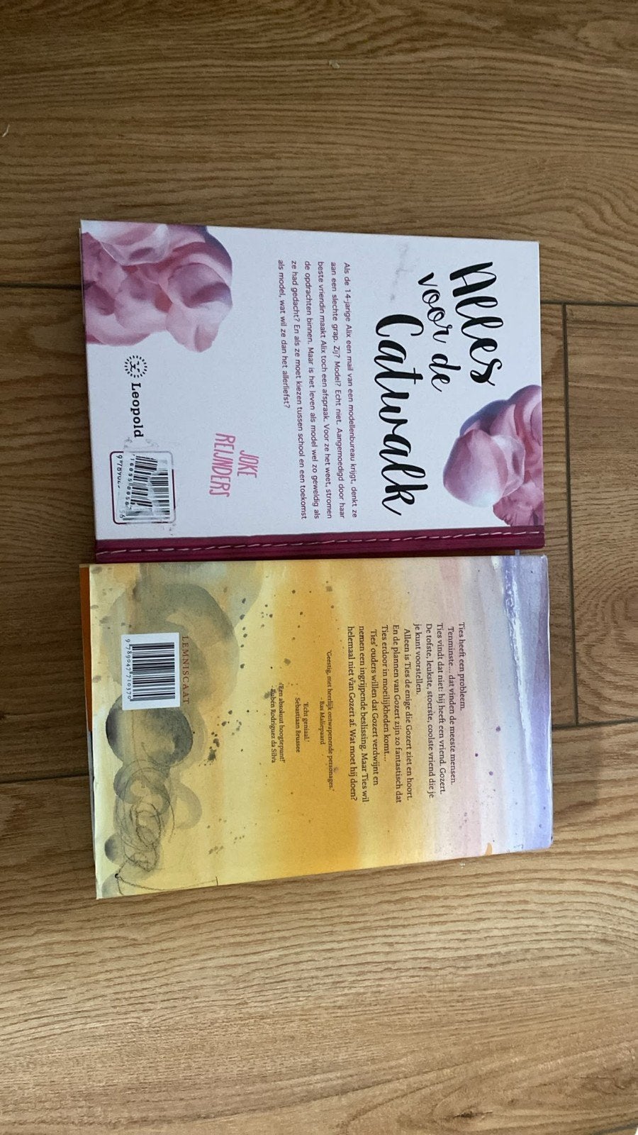 Boeken: Alles voor de Catwalk & Gozert, Boeken, Ophalen, Zo goed als nieuw, Joke Reijnders, Pieter Koolwijk, Fictie