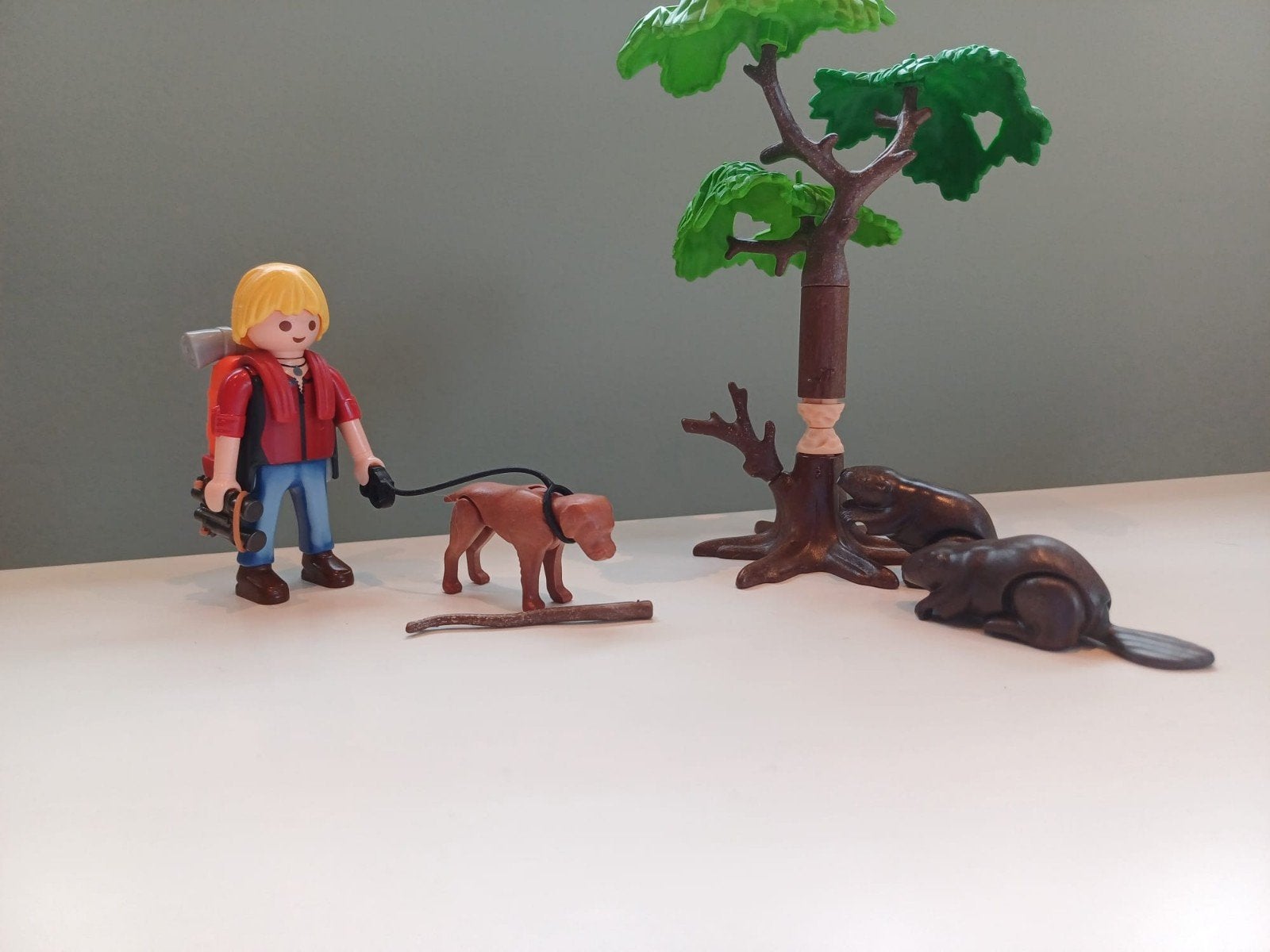 Playmobil set boom, bevers, wandelaar en hond 5562, Complete set, Ophalen of Verzenden, Zo goed als nieuw, Figuren