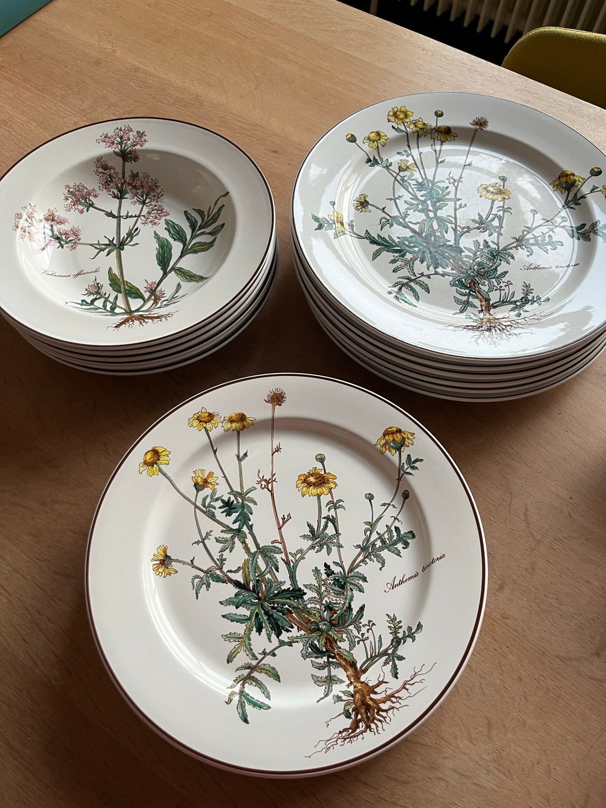 Villeroy & Boch Botanica borden, Ophalen, Klassiek, Villeroy & Boch, Zo goed als nieuw