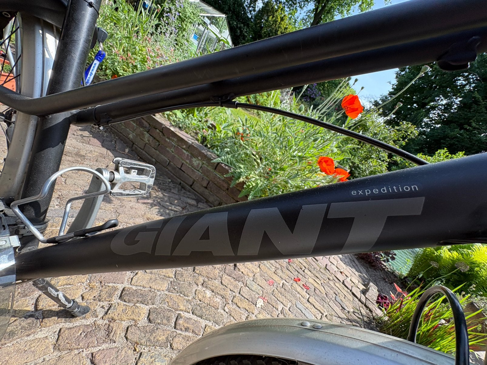 Dé GIANT Expedition superlichte sportfiets, Gebruikt, Velgrem, Giant, Ophalen of Verzenden