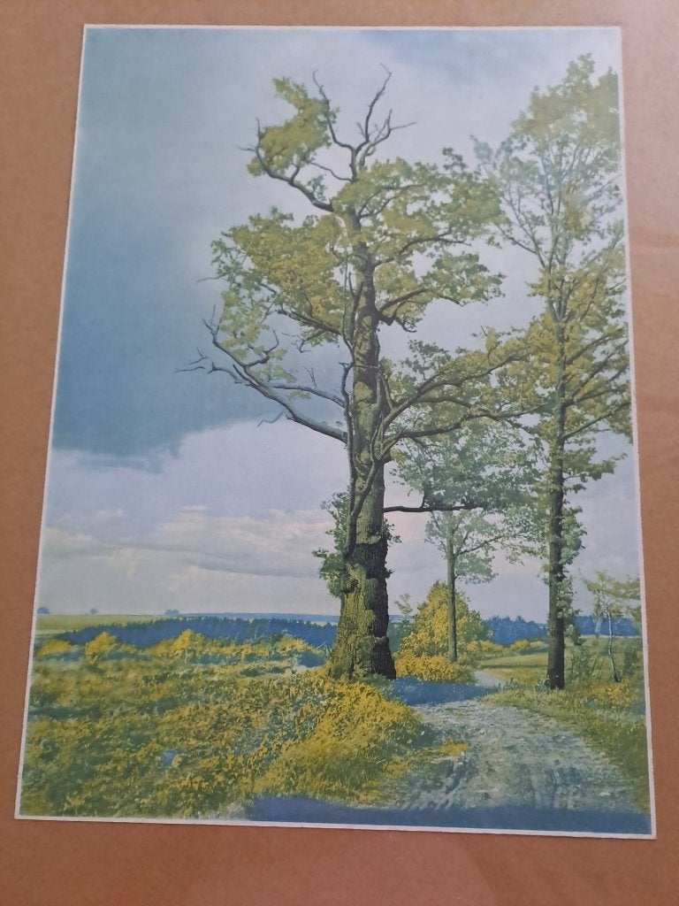 Brocant schilderij in mooi houten lijst., Ophalen, Klassiek, Achter glas, Landschap