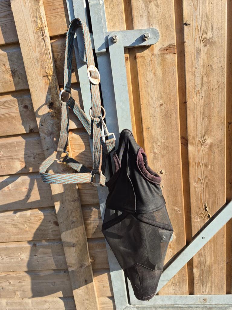 Vliegenmasker en halster pony, Ophalen of Verzenden, Gebruikt