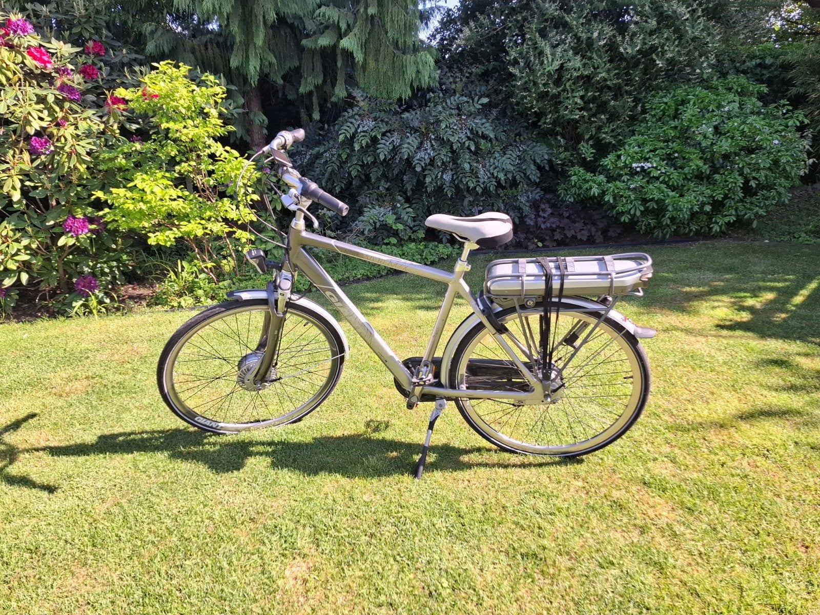 Giant elektrische fiets - Zo goed als nieuw, Ophalen