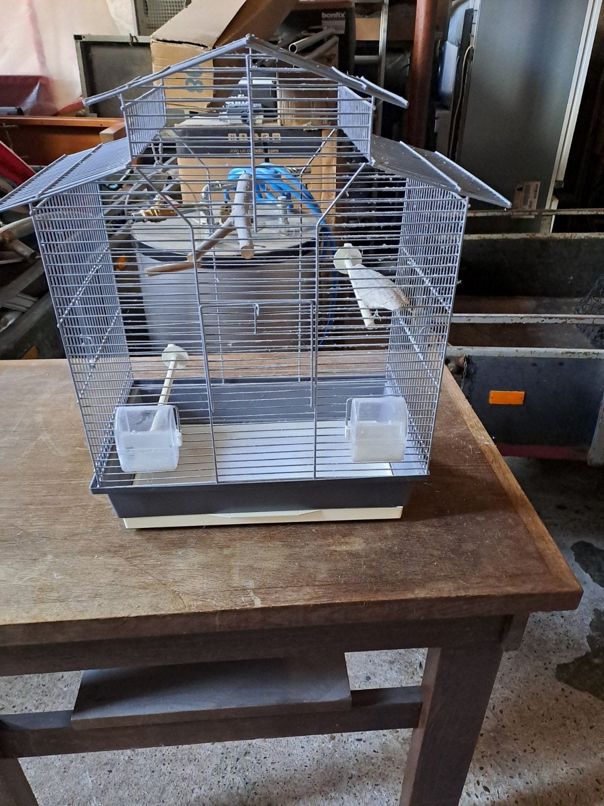netjesuitziende vogelkooi, Ophalen, Metaal, Vogelkooi