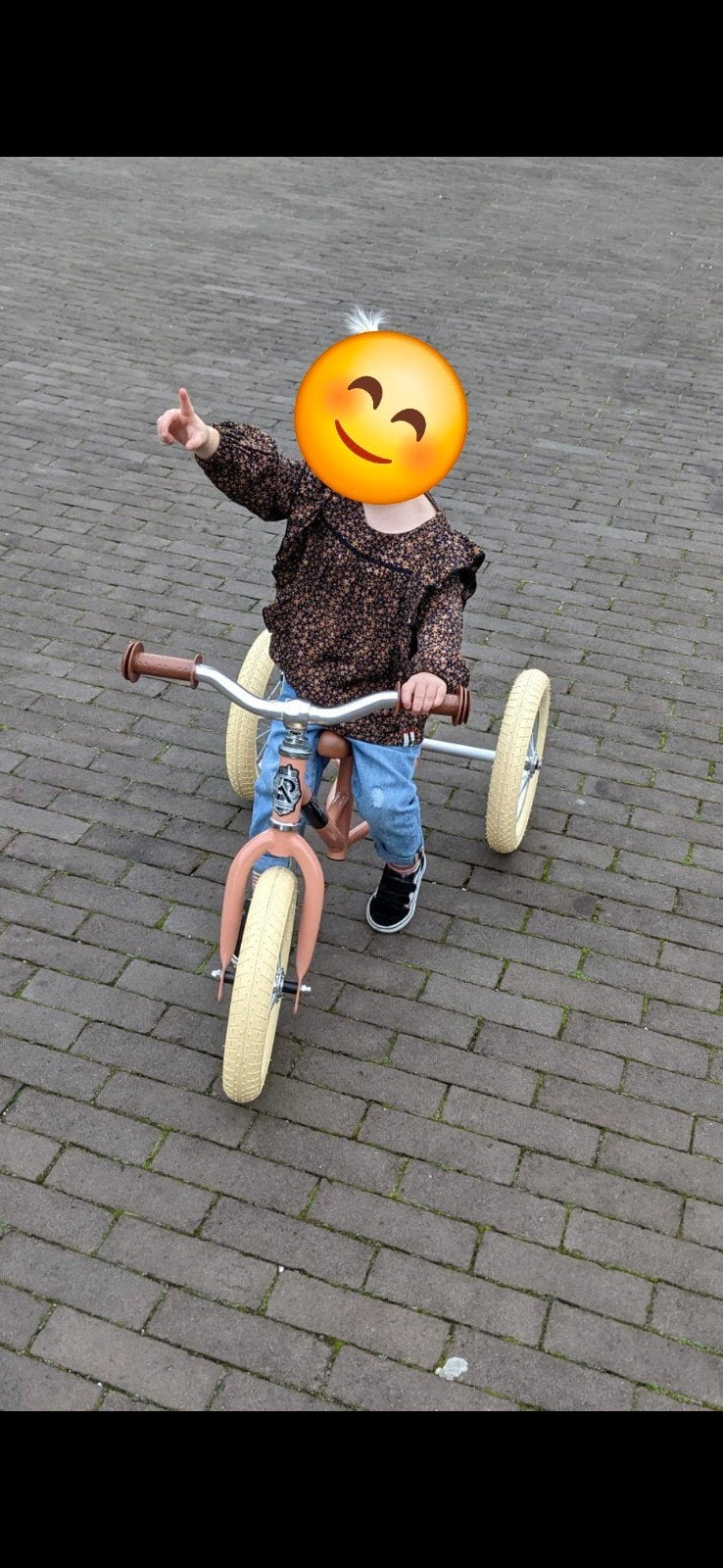 Veloretti loopfiets / driewieler - 2-in-1, Ophalen, Zo goed als nieuw, Minder dan 16 inch, Veloretti
