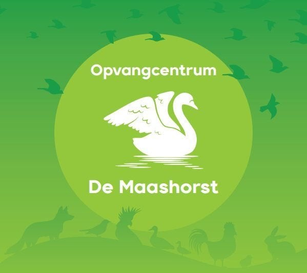 Vrijwilligers dierverzorging gezocht!, Vacatures, Starter, Overige vormen, Overige niveaus, Geschikt als bijbaan