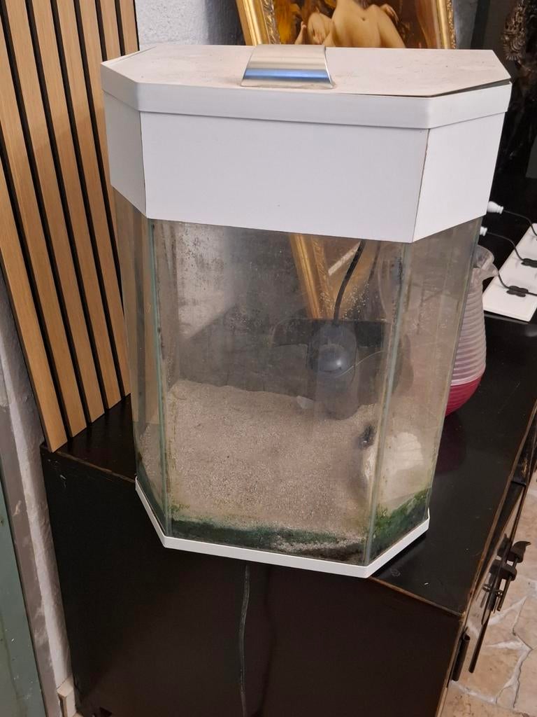 Aquarium, Dieren en Toebehoren, Vissen | Aquaria en Toebehoren, Ophalen, Leeg aquarium