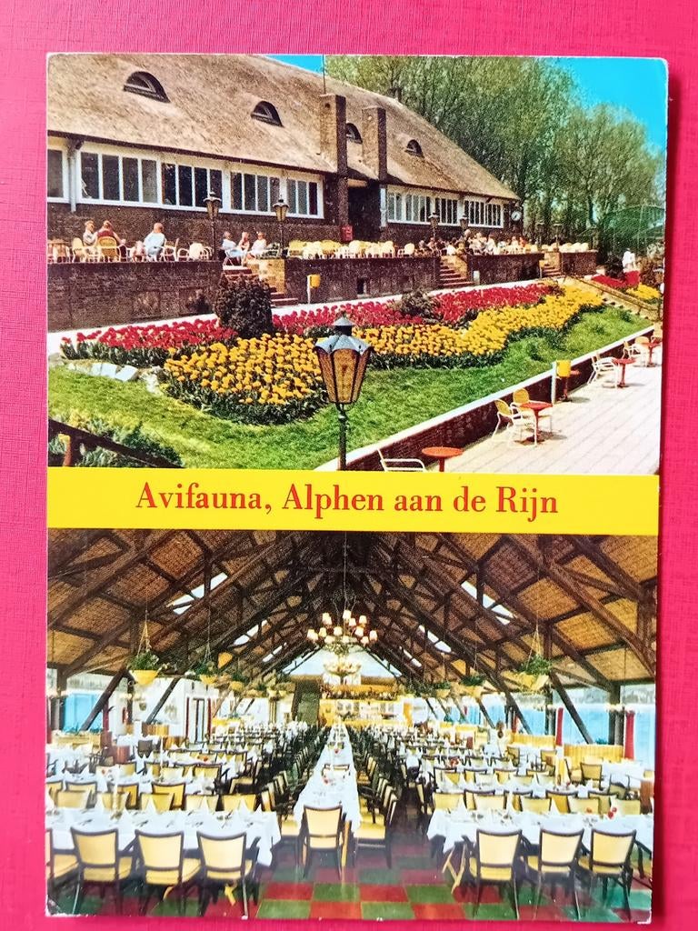 Ansichtkaart Alphen aan de Rijn, Ophalen of Verzenden, Zuid-Holland
