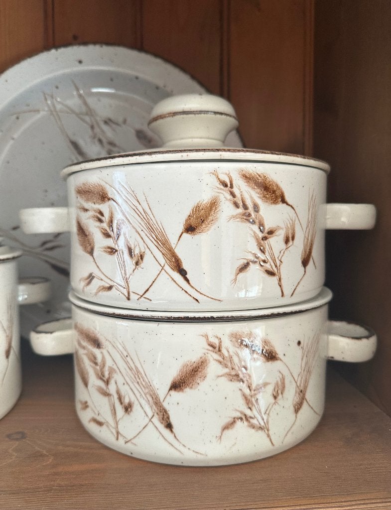 Compleet 137-delig Midwinter Stonehenge Wild Oats servies, Ophalen, Vintage, Zo goed als nieuw, Aardewerk