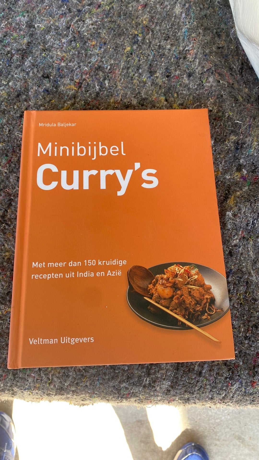 MINIBIJBEL CURRY’S, Gelezen, Hoofdgerechten, Azië en Oosters, Ophalen of Verzenden