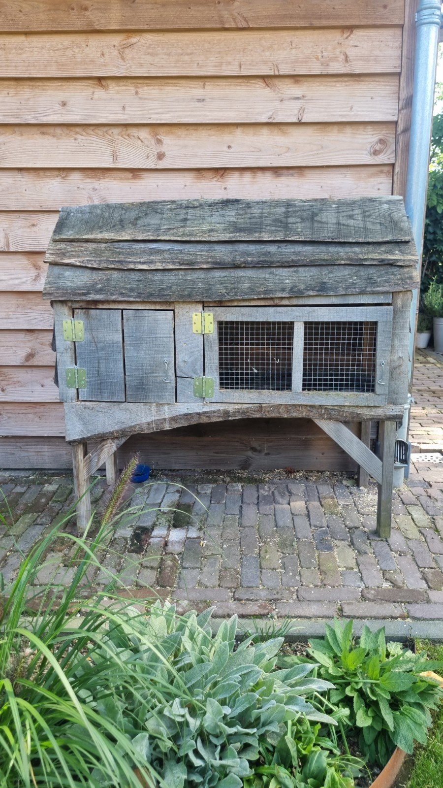 Konijnenhok/konijnenkooi/knaagdieren, Ophalen, Kooi, 110 cm of meer, Cavia