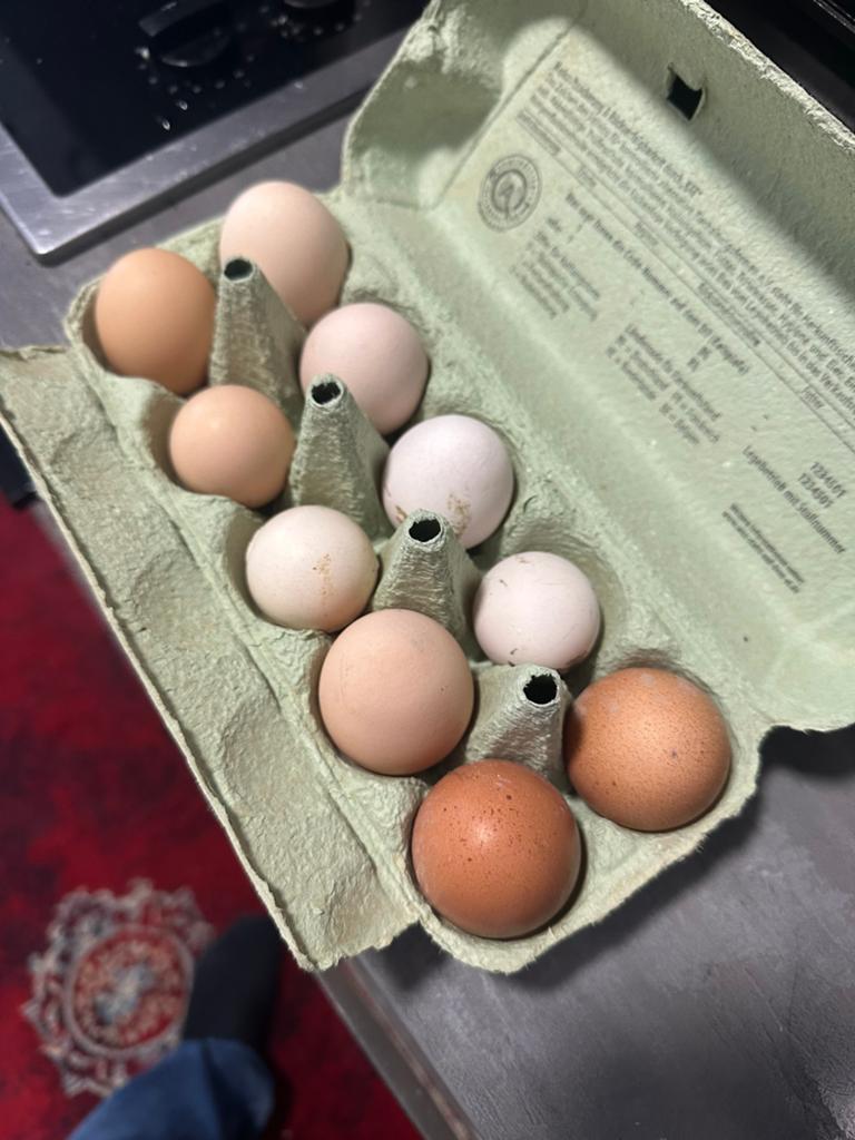 Biologische eieren, Ophalen