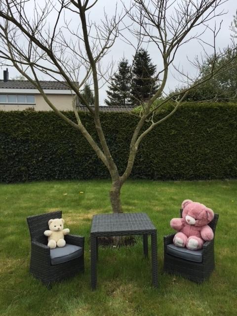 Kinder tuinzitje van Garden Impressions model Nikki, Tuin en Terras, Tuinsets en Loungesets, Kunststof, Bijzettafel, Zo goed als nieuw
