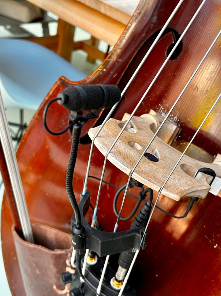 DPA d:vote 4099b contrabas microfoon, Muziek en Instrumenten, Microfoons, Ophalen of Verzenden, Gebruikt, Instrumentmicrofoon