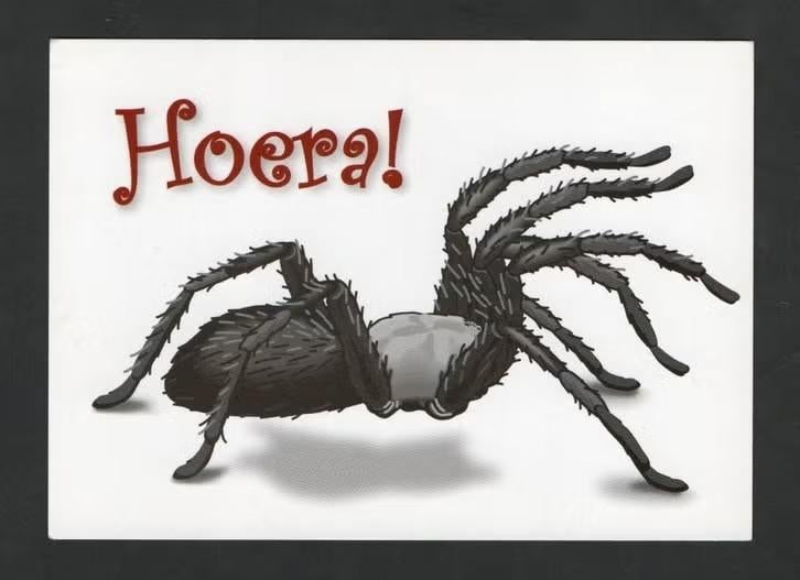 Insectenvanger Spinnenvanger BugAway., Ophalen of Verzenden, 1980 tot heden, Ongelopen, Overige soorten