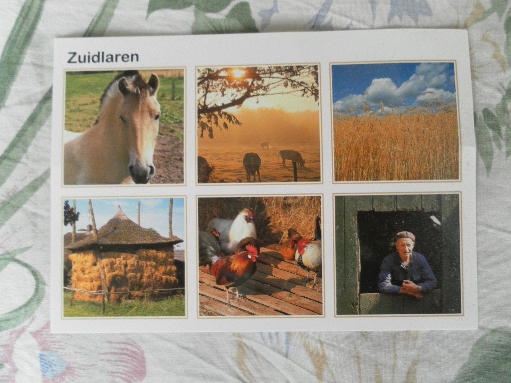 kaart Zuidlaren verzamelkaart, Ophalen of Verzenden, 1980 tot heden, Gelopen, Drenthe
