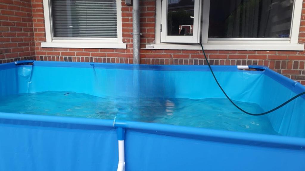 Intex Opzetzwembad 3x2m - Gebruikt maar in goede staat, Ophalen of Verzenden