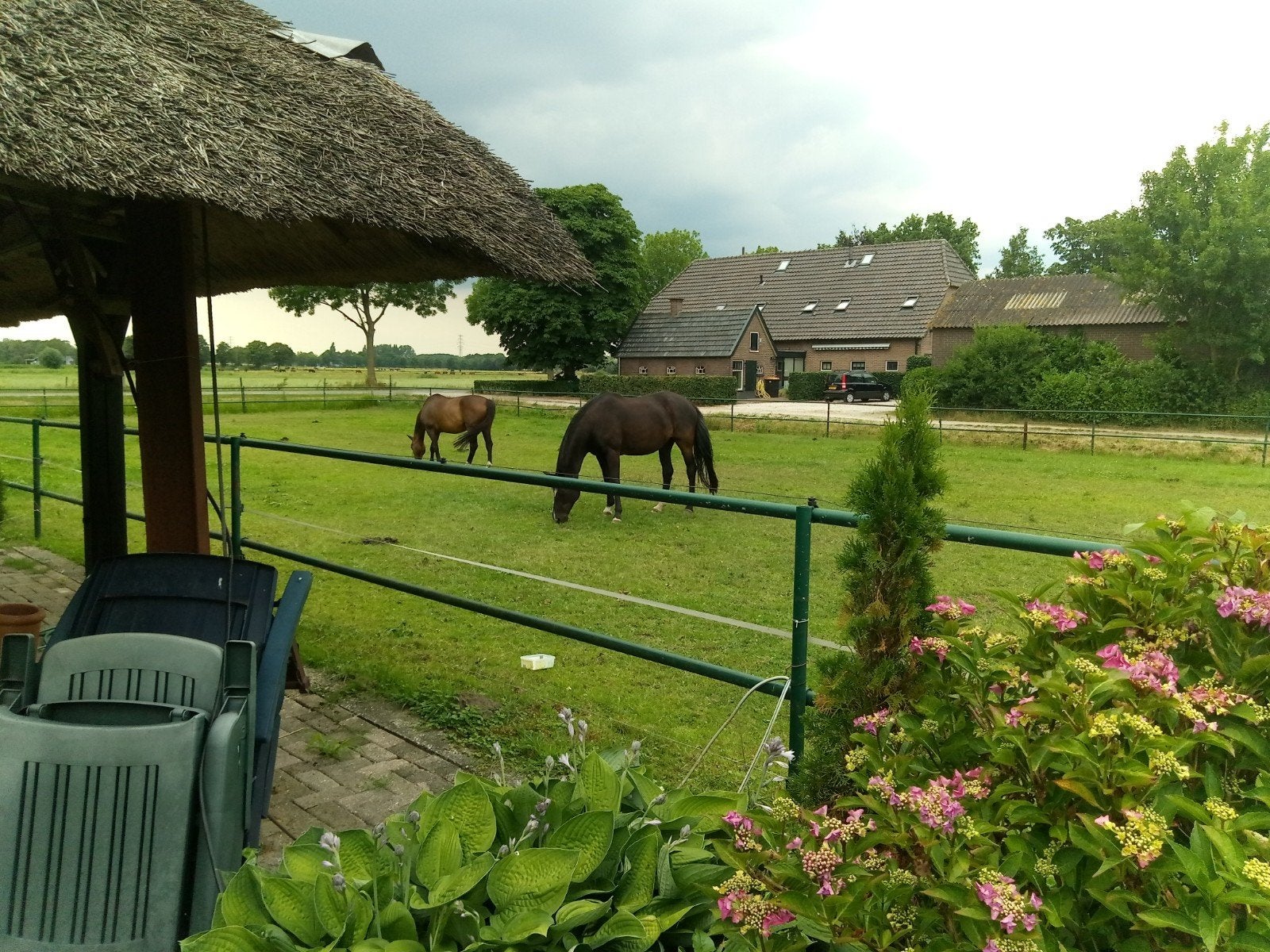 Wij hebben op onze pensioenstal een aantal plekken vrij., Dieren en Toebehoren