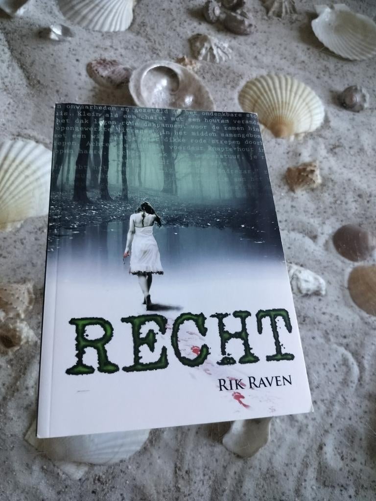 Rik Raven - Recht, Boeken, Thrillers, Zo goed als nieuw, Ophalen of Verzenden