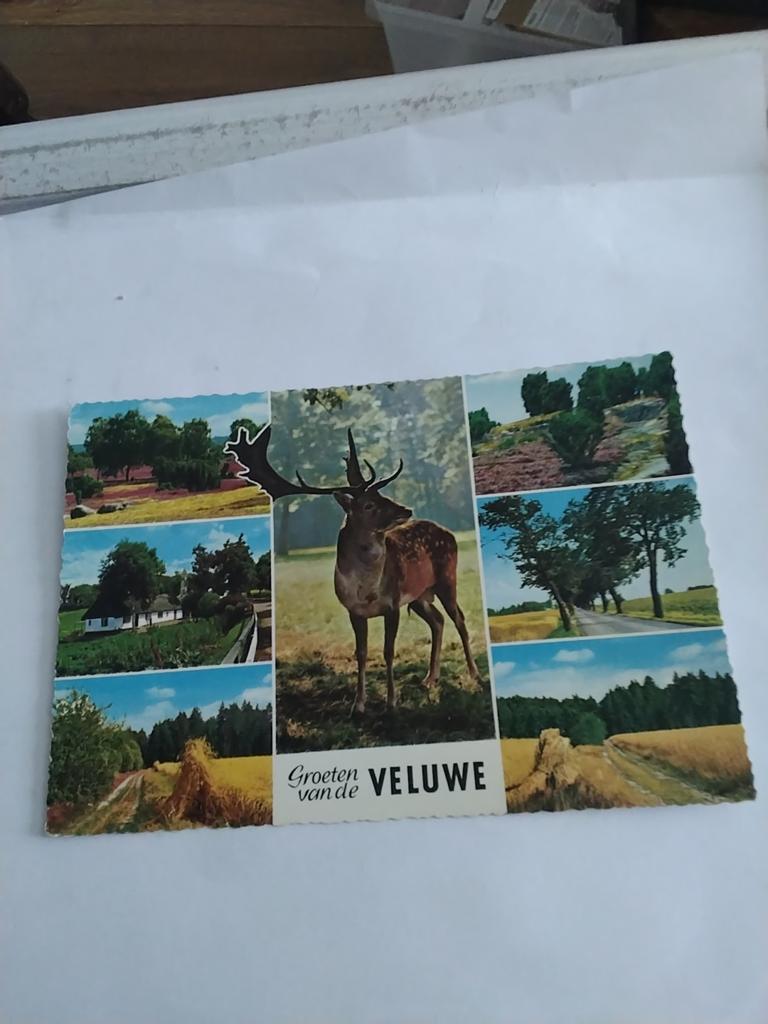 GROETEN VAN DE VELUWE. 7 AFBEELDINGEN, Ophalen of Verzenden, 1940 tot 1960, Gelderland
