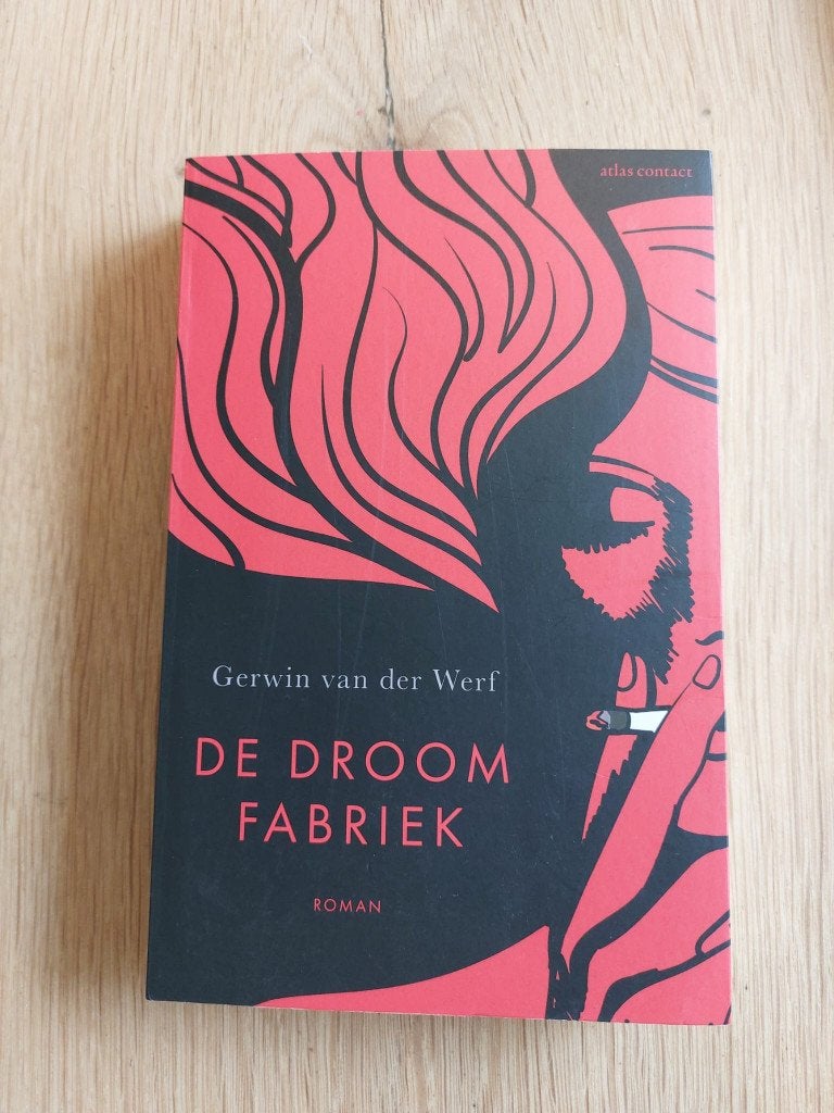 De Droomfabriek - Gerwin van der Werf, Ophalen of Verzenden, Zo goed als nieuw, Nederland, Gerwin van der Werf