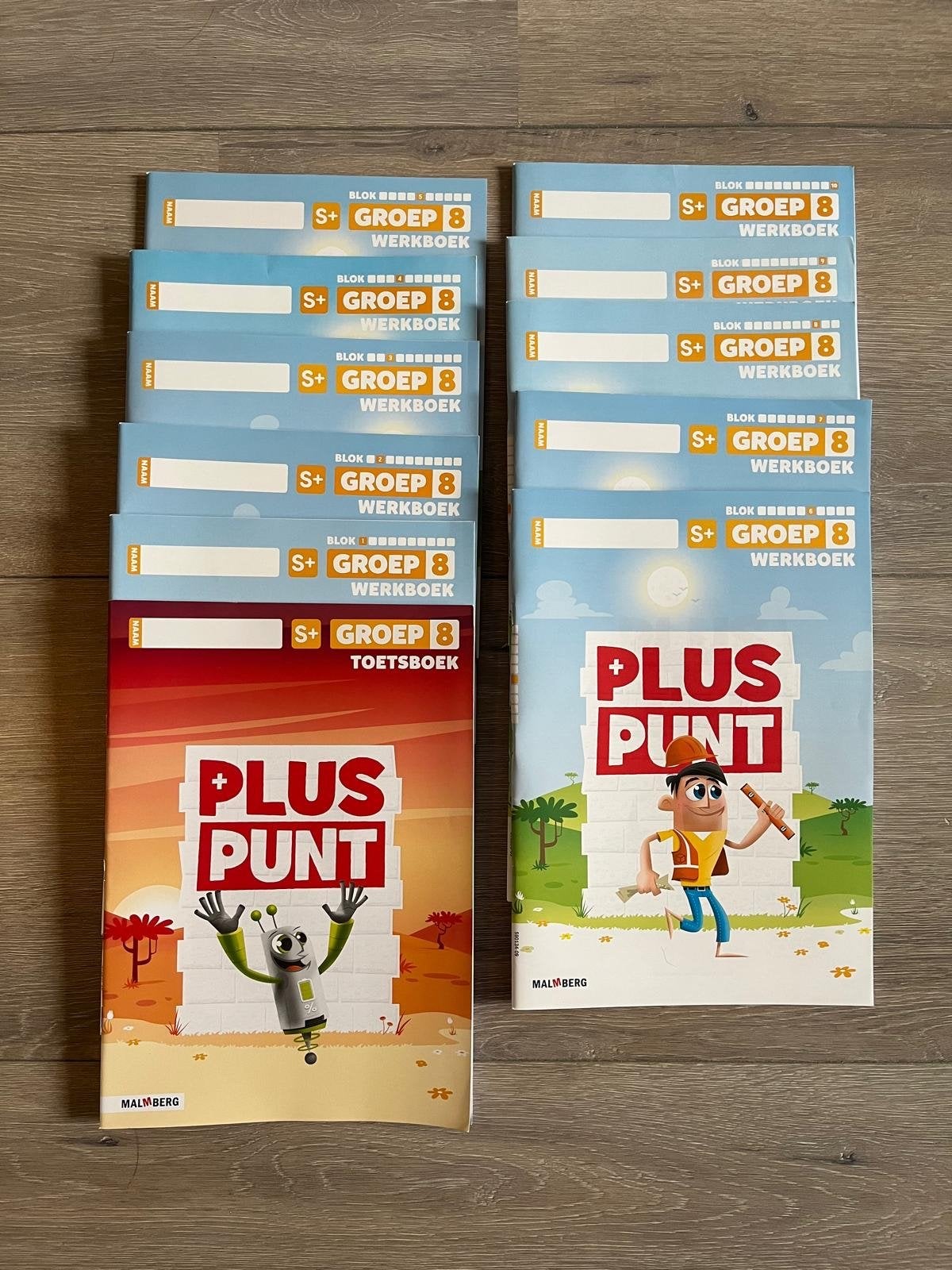 Pluspunt Groep 8 S+ Werkboeken en Toetsboek Malmberg, Ophalen of Verzenden, Gelezen, Overige niveaus, Overige vakken