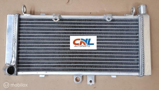 Radiateur Honda CB900F 919 Hornet 900 2002-2007 03 04 05 06, Motoren, Nieuw, Ophalen of Verzenden