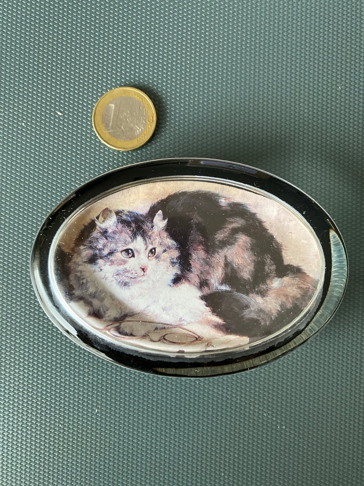 Glazen presse-papier met kattenafbeelding, Verzenden, Zo goed als nieuw, Meerkleurig, Glas